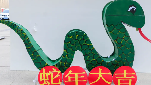 “彩燈映元宵·謎趣共團圓”——隴神戎發(fā)元宵節(jié)文化活動熱鬧開展